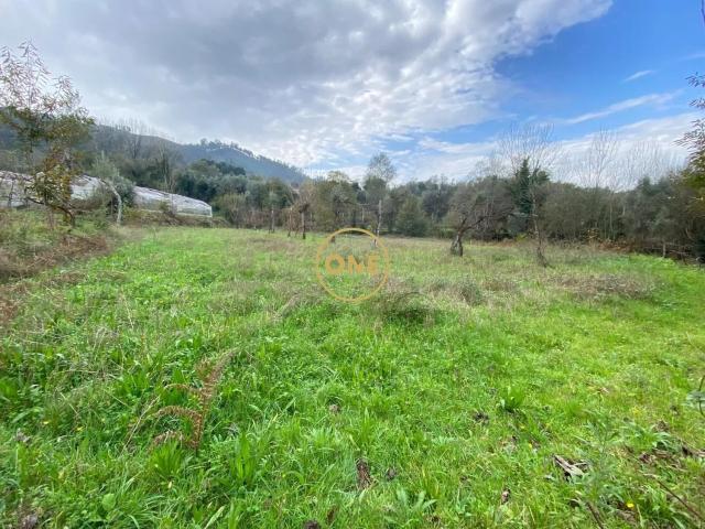 Vendo terreno Rustico 2.700m2