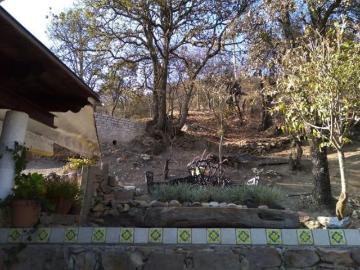 Vendo terreno y casa en Santa Rosa