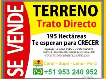 VENDO TERRENO 195 HAS CARAL