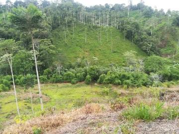 VENDO TERRENO 11.72 Hect UBICADO A 3hrs DE BAGUA CHICA