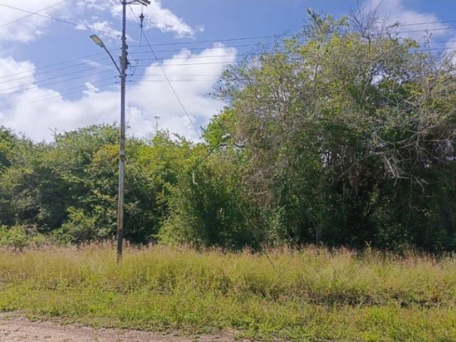 VENDO Terreno 1.110 m2, Los Canales de Rio Chico. Páez Miranda