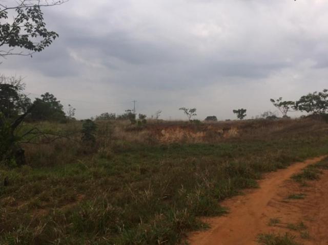 Vendo terreno 79ha Barinas 5372