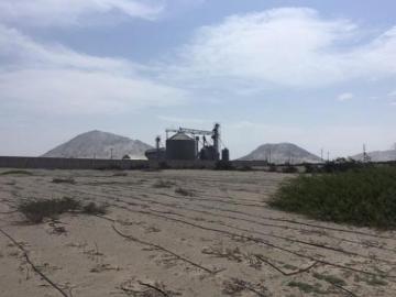 VENDO TERRERNO EN ZONA INDUSTRIAL DE MOCHE AT=7.09 Has TRUJILLO