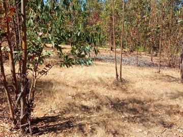 Vendo o permuto casa en rgua + parc. en paredones