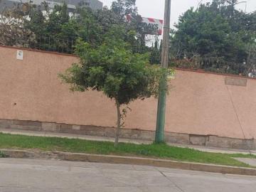 Vendo casa esquina como terreno avenida Primavera m