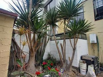 Vendo casa frente a parque, 12m de frente, 300m2 de terreno