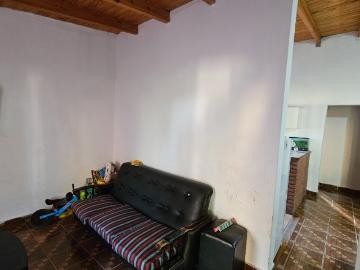 Vendo Casa Quinta 2400 m² zona Rama Caida, San Rafael