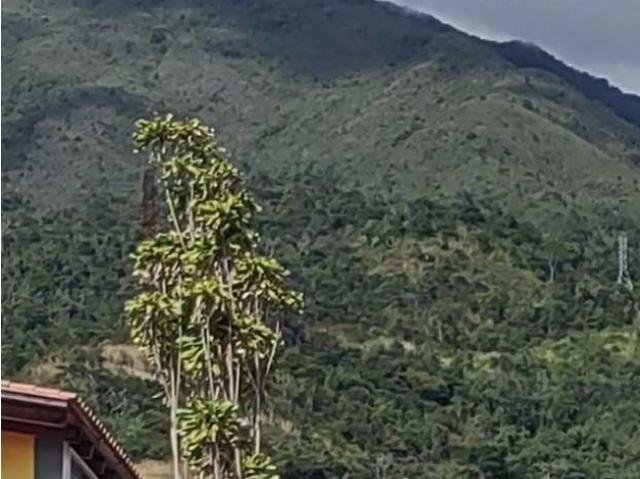Vendo casa 1.000m2 7h/8b/8p El Marqués 2034
