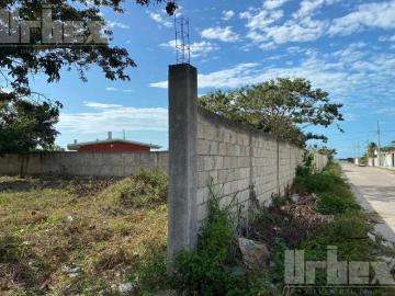 VENDO DOS PREDIOS EN CHAMPOTON, CAMPECHE