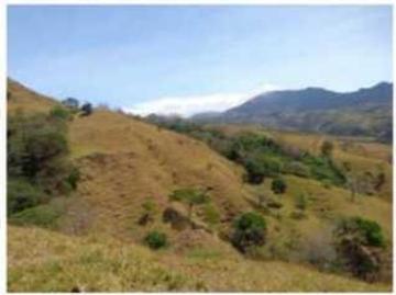 VENDO FINCA 205 HECTAREAS EOLICAS