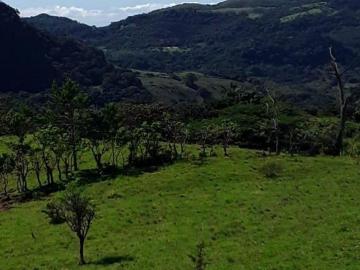 Vendo Finca Buena Vista, Sorá, Chame