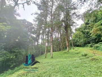 VENDO FINCA DE 195 HECTAREAS EN COORDILLERA CON AGUA VIVA