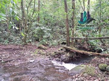 VENDO FINCA DE 2HECTAREAS +7613MTS CON.RIO.Y QUEBRADA