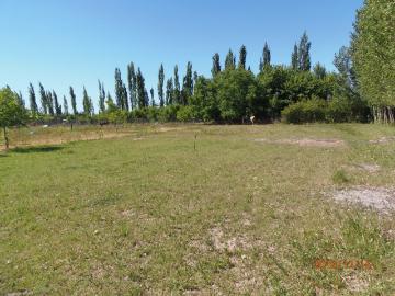 Vendo finca de 310 hectareas san rafael mendoza