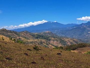 VENDO FINCA DE 39 HECTAREAS EN REMATE EN GUALACA
