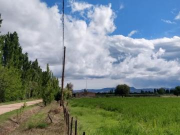 Vendo finca de 3.330 mts en cuadro benegas, san rafael, mza