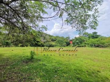 VENDO FINCA EN EL PAJONAL DE PENONOME