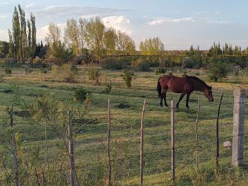 VENDO Finca en los Coroneles Cuadro Benegas – excelente ubicacion!