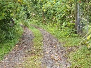Vendo Finca en Manabí Pedernales Ecuador