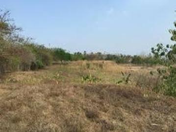 Vendo Finca en Punta Barco ID5458JD