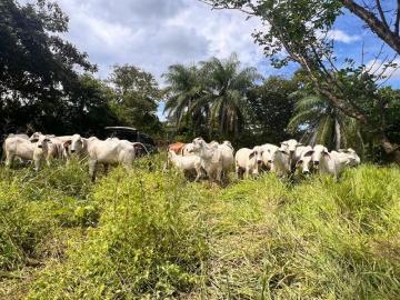 VENDO FINCA EN SANTIAGO