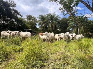 VENDO FINCA EN SANTIAGO