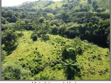 Vendo finca en San Carlos David