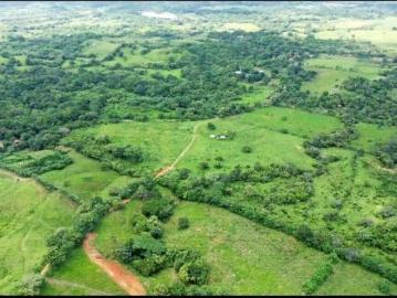 VENDO FINCA GANADERA DE 25 HECTAREAS EN TANARA CHEPO
