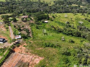 VENDO FINCA GANADERA EN EL ESPINO, LA CHORRERA, PANAMA OESTE 9