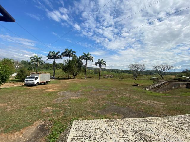Vendo Finca Productiva y Recreativa, Ubicada via La ARENOSA Municipio Libertador, a 1 kilometro del parque cementerio el Oasis.