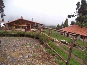 VENDO HERMOSA QUINTA DE 15 HECTÁREAS EN OTAVALO