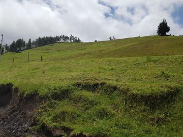 Vendo Hermoso Lote De 1.8 Hectáreas Cayambe