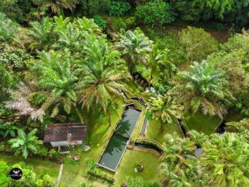 Vendo Linda finca en Cuesta de Piedra Volcan Chiriqui