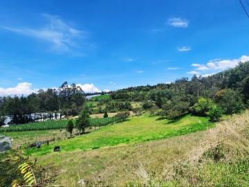 Vendo lote de terreno de 1.8 ha con reservorio en Yaruqui sector La Isla