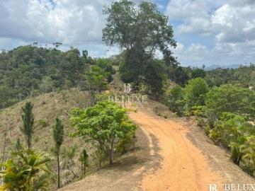 VENDO LOTE EN CAPIRA 20