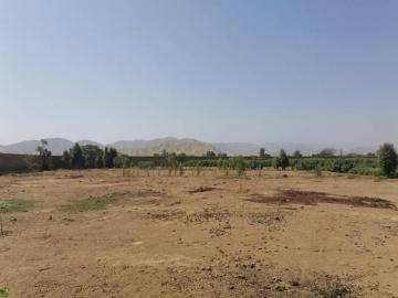 Vendo Lote Terreno 1.050 m² Club House  Distrito Quilmaná Cañete $50,000
