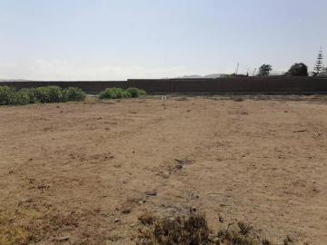 Vendo Lote Terreno 956m² en Club House  Distrito Quilmaná Cañete $55,000