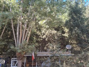 VENDO PARCELA 5.000 MTS 2 CON CASA 90 MT2,ÑUBLE