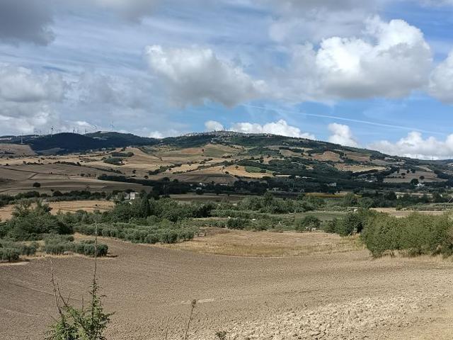 Vendo piccola Azienda Agricola