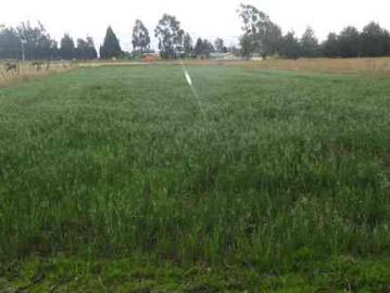 Vendo propiedad de 5.100 m2 en Cayambe