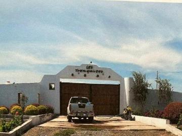 VENDO PREDIO EN EL CARMEN, CHINCHA, A 2KM DE LA HACIENDA SAN JOSÉ