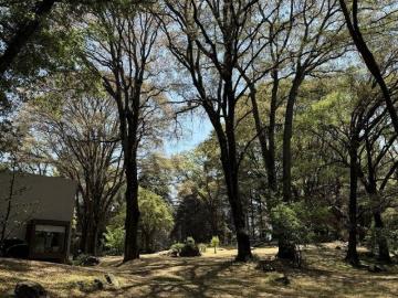 Vendo rancho terreno 7265m San Nicolás Tlazala Toluca Ocoyoacac EDOMEX