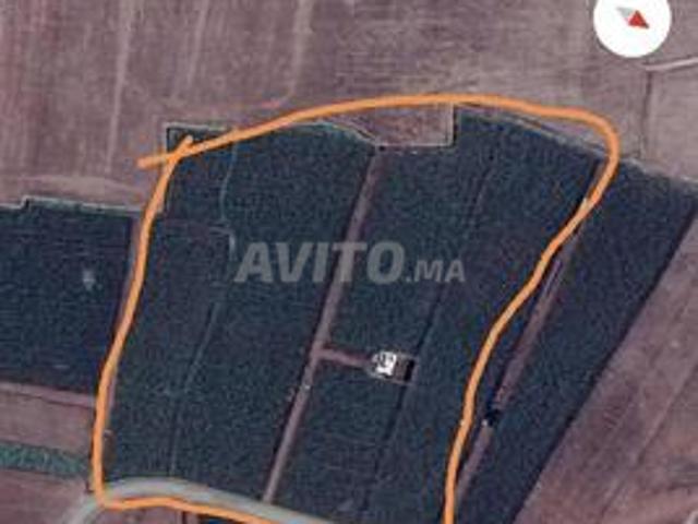 Vends terrain agricole ou pour une ferme