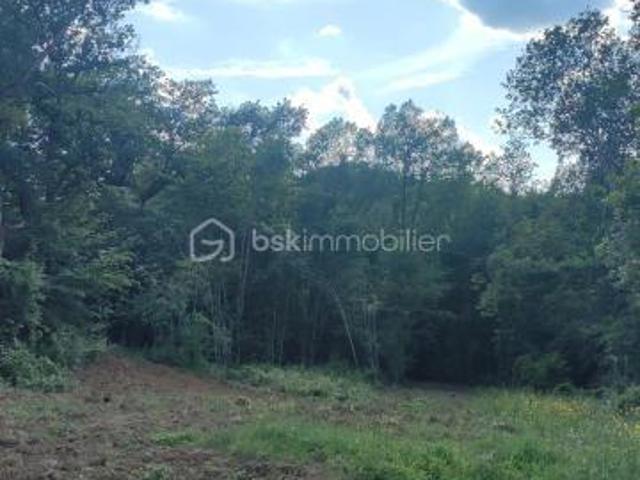 VENDS TERRAIN DE 14982 M2 DE FORET DONT 2079 M2 CONTRUCTIBLE !