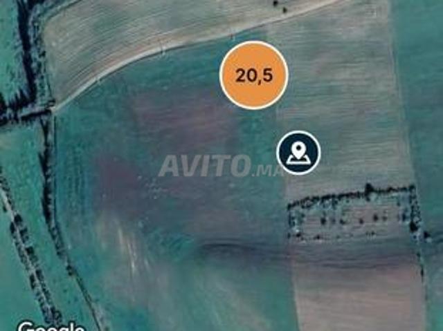 Vends terrain titré 5 hectares