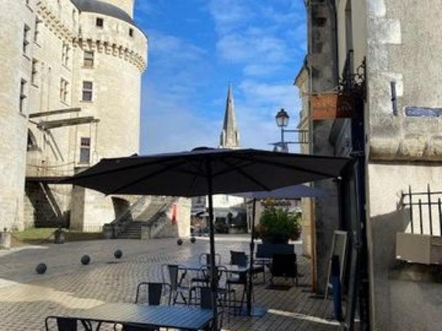 Vends fonds de commerce Langeais fâce au château
