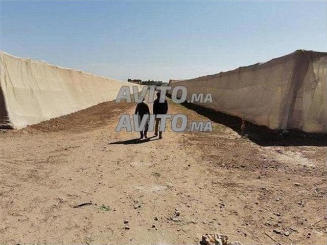 Vendre à Temsia terrain agricole 7 hectares titré