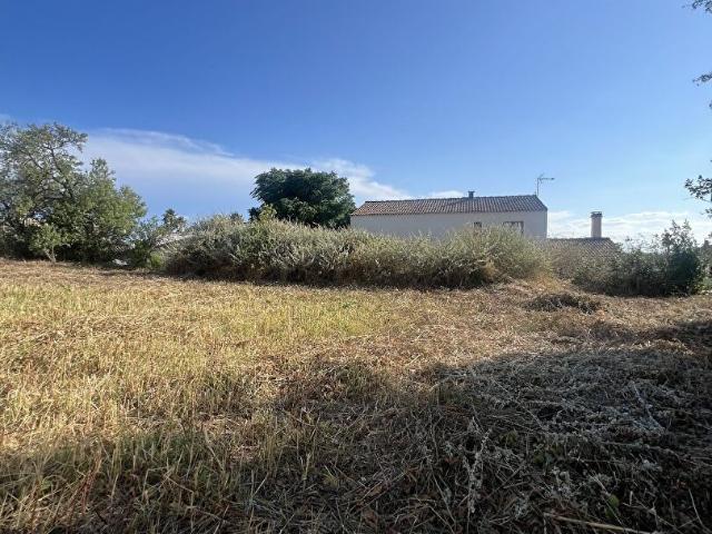 Vendres Vente Terrain 34