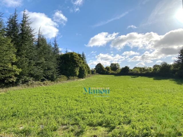 Vendres Vente Terrain 34