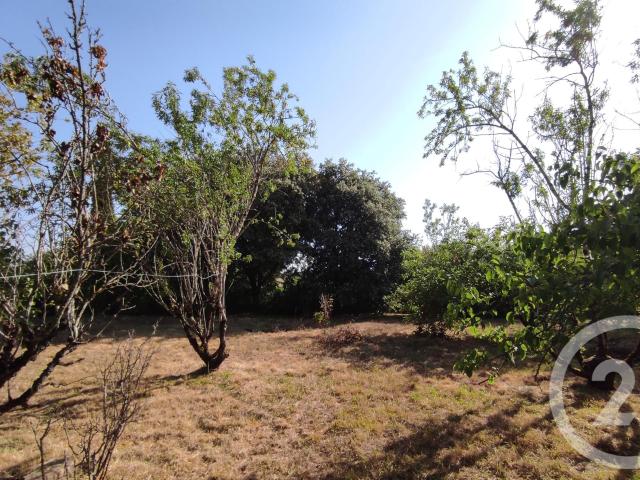 Vénès Vente Terrain 81